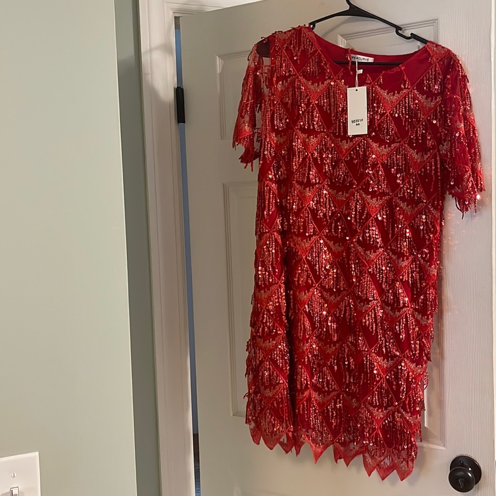 Sequin fringe dress
